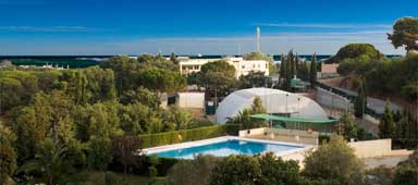 Marbella, Albor&aacute;n