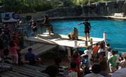 Enfocamp Madrid
