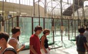 Enfocamp Madrid