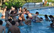 Enfocamp Marbella-Albergue