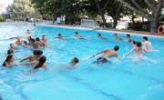 Enfocamp Marbella-Albergue