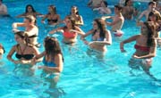 Enfocamp Marbella-Albergue