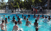 Enfocamp marbella-albergue