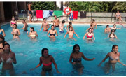 Enfocamp marbella-albergue