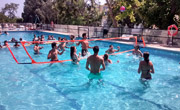 Enfocamp marbella-albergue