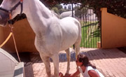 Enfocamp marbella-albergue