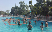 Enfocamp marbella-albergue