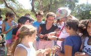 Enfocamp Marbella-Alborán