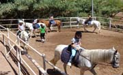 Enfocamp Marbella-Alemán