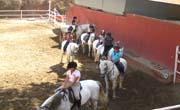 Enfocamp Marbella-Alemán