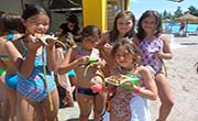 Enfocamp Marbella Alemán