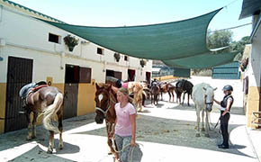 Enforex Camps marbella-aleman