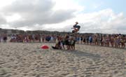 Enfocamp Valencia