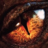 El ojo de Smaug