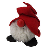 Tomte